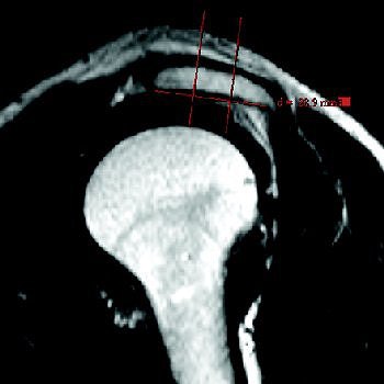 2005 02 17 10 35 47 706