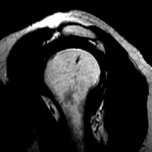 2005 02 17 10 46 35 706