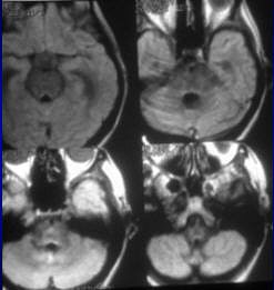 2005 03 23 14 39 50 706