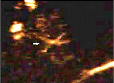 2005 03 25 12 25 12 706