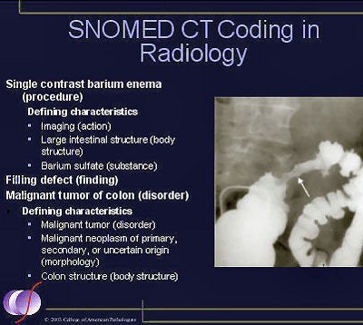 2005 04 12 16 47 18 706