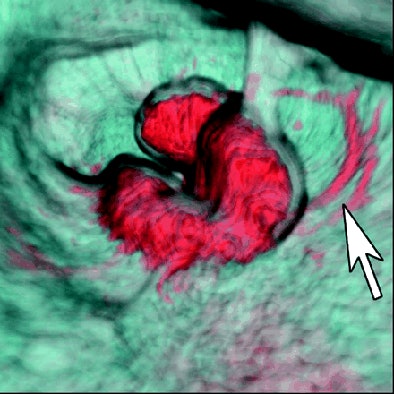 2005 04 29 14 04 36 706