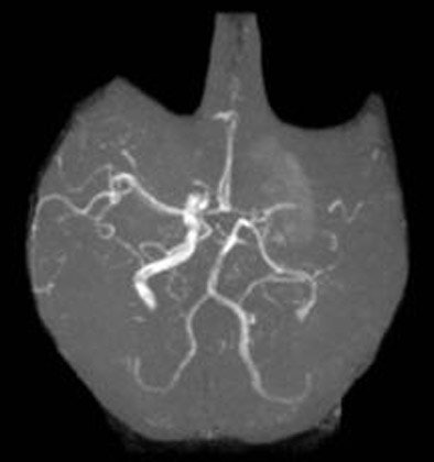 2005 05 31 15 58 20 706