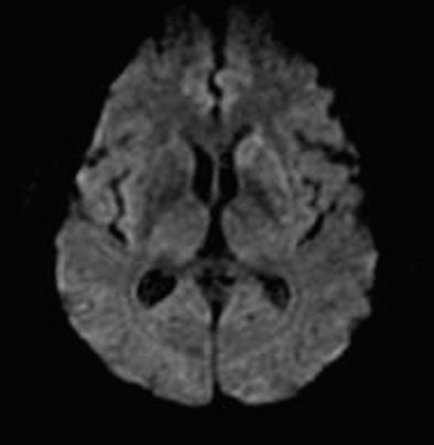 2005 05 31 15 59 52 706