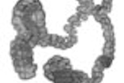 2005 06 07 15 43 50 706