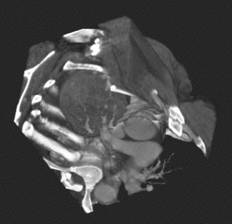 2005 06 10 14 59 43 706