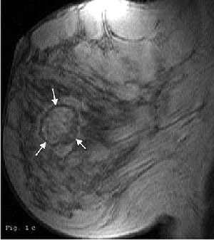 2005 06 13 15 54 19 706