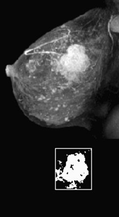 2005 06 13 15 59 30 706