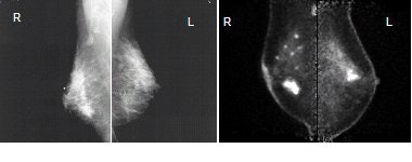 2005 06 21 15 03 15 706