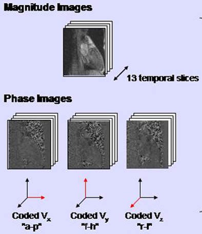 2005 06 23 16 00 03 706