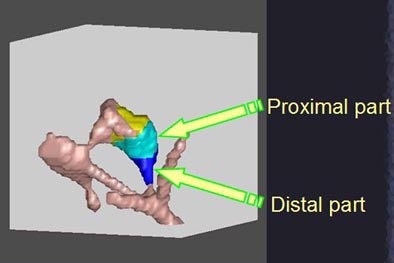 2005 06 24 16 25 44 706