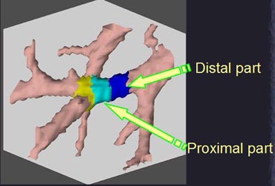 2005 06 24 16 26 02 706