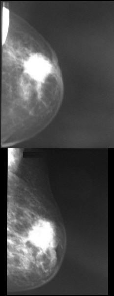 2005 06 29 16 06 29 706