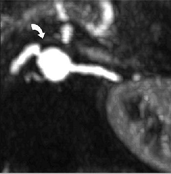 2005 07 28 15 16 26 706