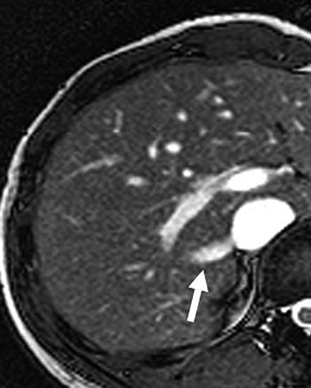 2005 07 28 15 17 02 706