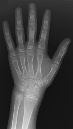 2005 08 09 14 51 46 706