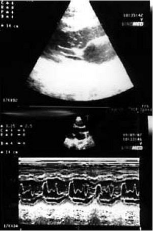 2005 08 15 13 54 12 706