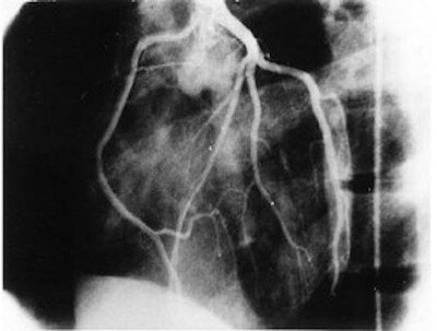 2005 08 15 13 55 00 706