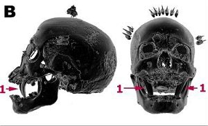 2005 08 23 14 09 40 706