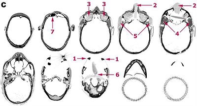 2005 08 23 14 09 57 706