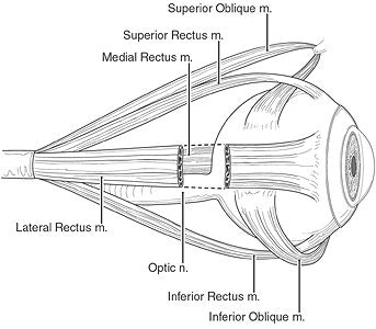 2005 08 26 15 20 48 706