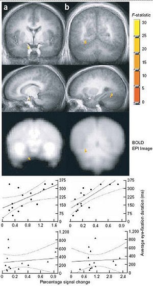 2005 08 26 15 21 25 706