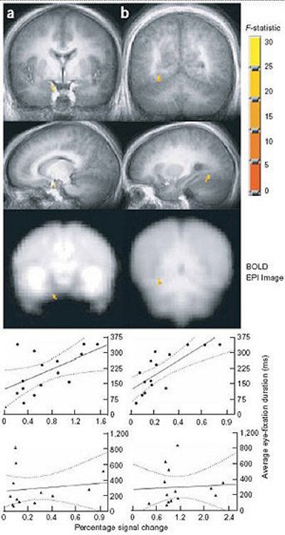 2005 08 26 15 21 25 706