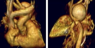 2005 09 23 15 49 51 706