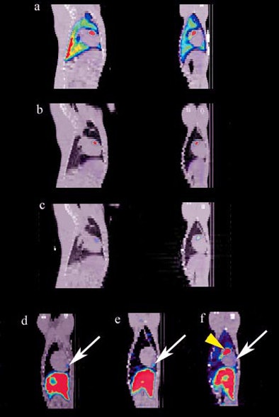 2005 10 03 11 20 39 706