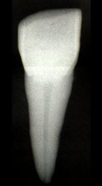 2005 10 11 15 02 43 706