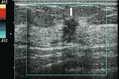 2005 10 12 14 43 56 706