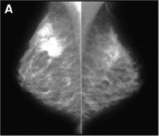 2005 10 17 14 07 45 706