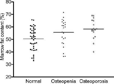 2005 10 19 15 31 27 706