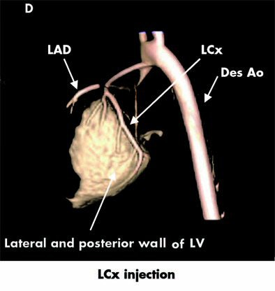 2005 10 20 15 25 21 706