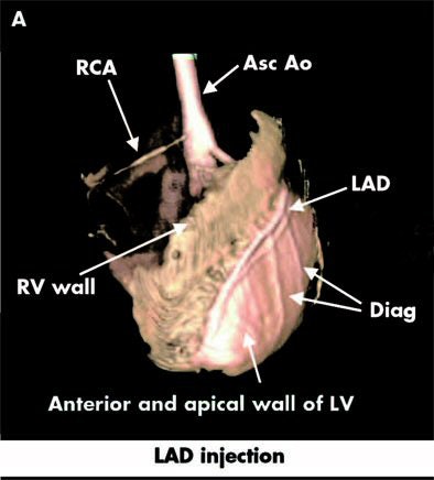 2005 10 20 15 30 02 706