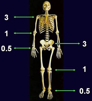 2005 10 25 12 45 58 706