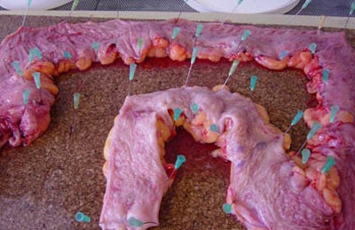 2005 10 28 15 55 32 706