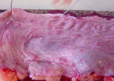 2005 10 28 15 55 48 706