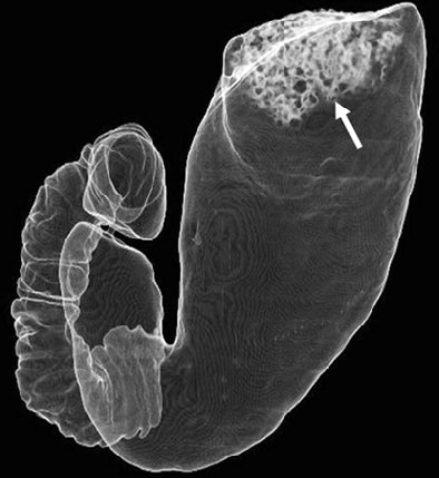 2005 11 11 20 16 01 706