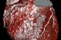 2005 11 16 17 54 52 706