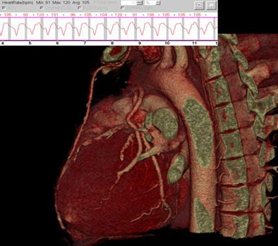 2005 11 18 14 18 47 706