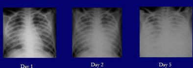 2005 12 02 12 34 47 706