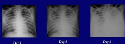 2005 12 02 12 34 47 706