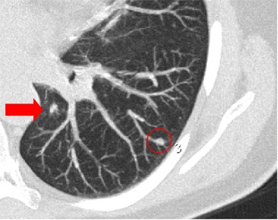 2005 12 12 15 59 42 706