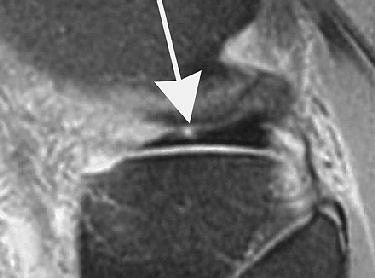 2005 12 16 17 08 31 706