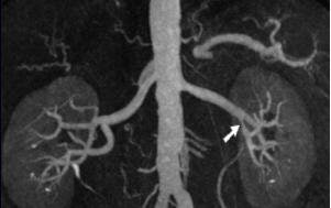 2006 01 13 13 50 31 706