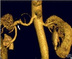 2006 01 13 13 50 51 706