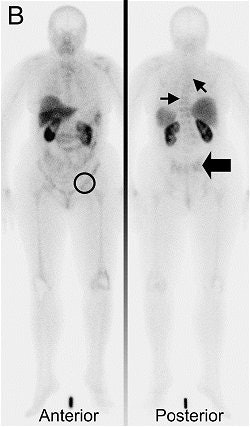 2006 01 25 15 52 49 706