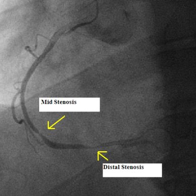 2006 02 07 11 22 12 706