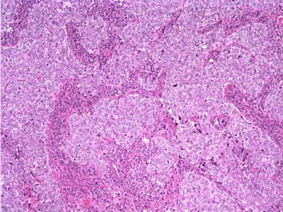 2006 02 08 16 45 57 706